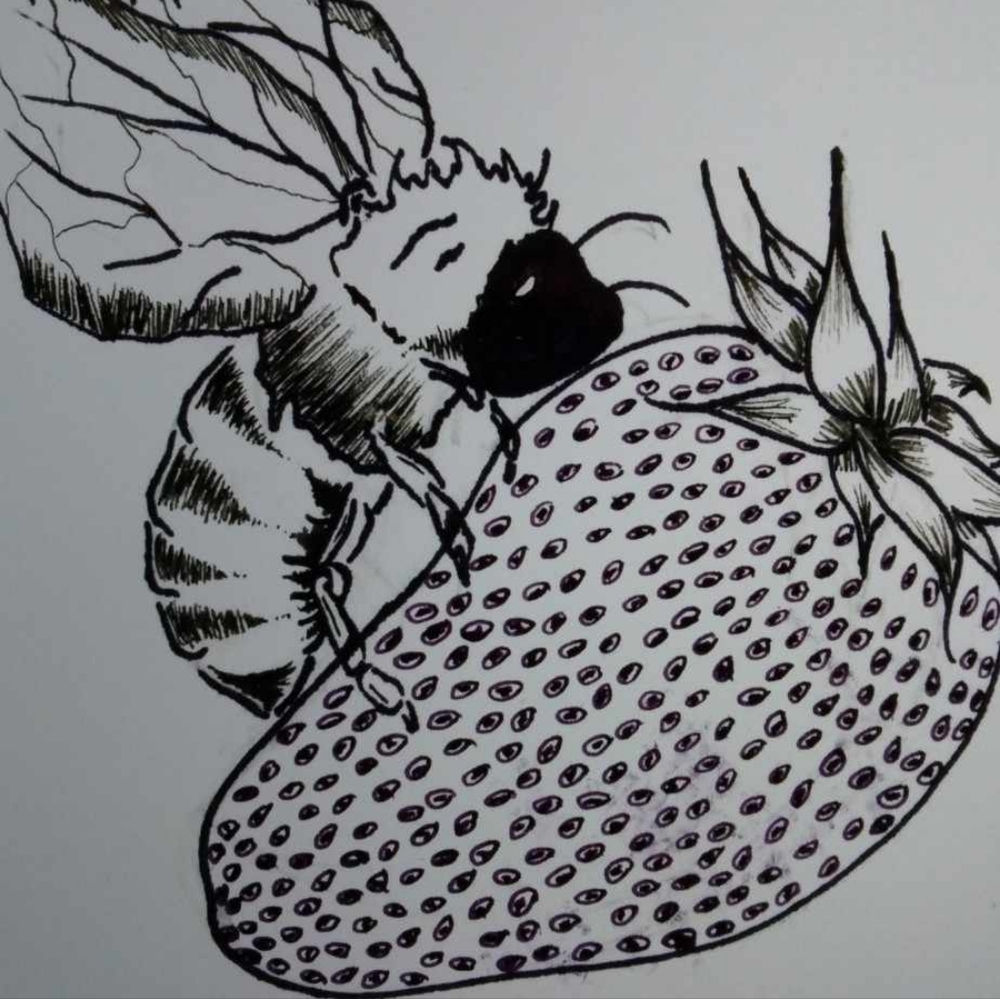 These are examples of artwork I have done. - Picture 6 of 16